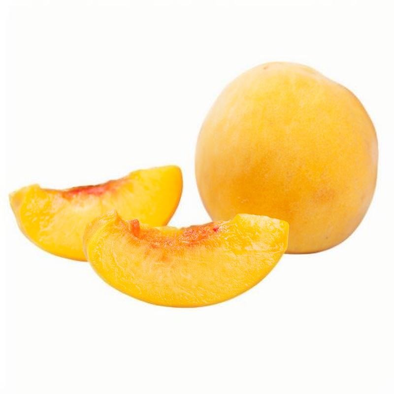 初春來的太快 預(yù)防晝夜溫差變化早春