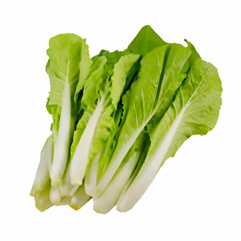 春季 女性養(yǎng)生食譜益健康早春