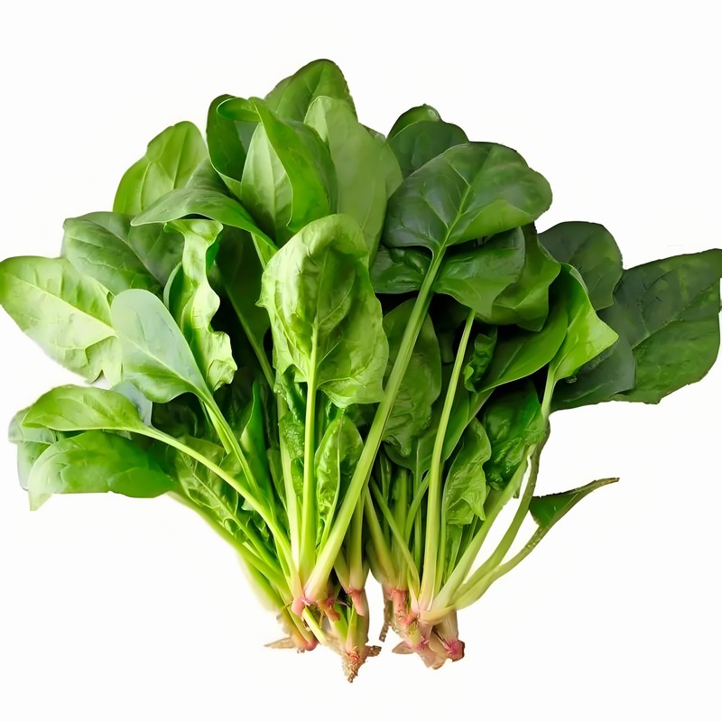 蔬菜配送價(jià)格,東莞蔬菜配送,食材配送