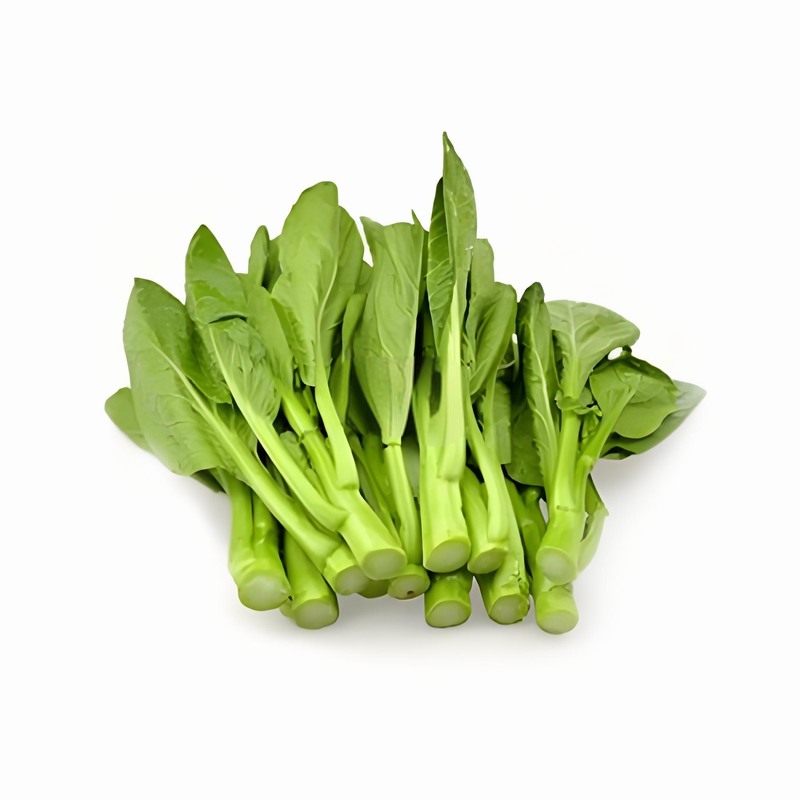 春分時(shí)節(jié)9種不同體質(zhì)的養(yǎng)生早春